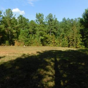 Photo of UNDER CONTRACT!  40.49 Acres of Timber and Hunting Land For Sale in Warren County NC!