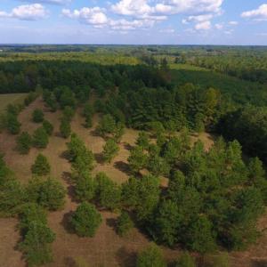Photo of UNDER CONTRACT!  40.49 Acres of Timber and Hunting Land For Sale in Warren County NC!