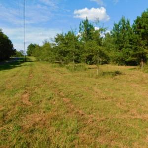 Photo of UNDER CONTRACT!  40.49 Acres of Timber and Hunting Land For Sale in Warren County NC!