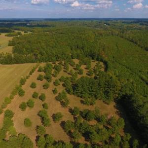 Photo of UNDER CONTRACT!  40.49 Acres of Timber and Hunting Land For Sale in Warren County NC!