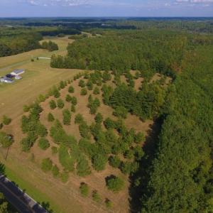 Photo of UNDER CONTRACT!  40.49 Acres of Timber and Hunting Land For Sale in Warren County NC!
