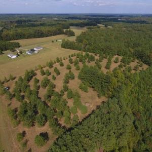 Photo of UNDER CONTRACT!  40.49 Acres of Timber and Hunting Land For Sale in Warren County NC!