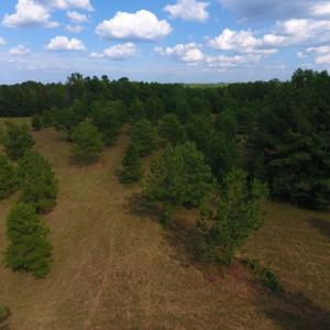 Photo of UNDER CONTRACT!  40.49 Acres of Timber and Hunting Land For Sale in Warren County NC!