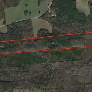 Photo of UNDER CONTRACT!  40.49 Acres of Timber and Hunting Land For Sale in Warren County NC!