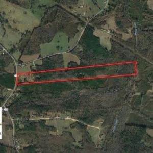 Photo of UNDER CONTRACT!  40.49 Acres of Timber and Hunting Land For Sale in Warren County NC!