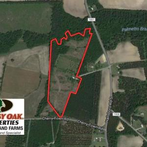 Photo of UNDER CONTRACT!  24.79 Acres of Hunting Land with Residential Site for Sale in Columbus County NC!
