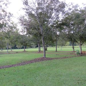 Photo of UNDER CONTRACT!  24.79 Acres of Hunting Land with Residential Site for Sale in Columbus County NC!