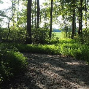 Photo of UNER CONTRACT!  5 Acres of Residential Hunting Land For Sale in Southampton County VA!