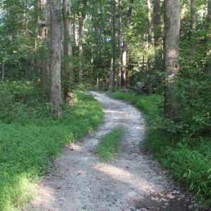 Photo of UNER CONTRACT!  5 Acres of Residential Hunting Land For Sale in Southampton County VA!