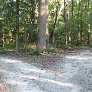 Photo of UNER CONTRACT!  5 Acres of Residential Hunting Land For Sale in Southampton County VA!