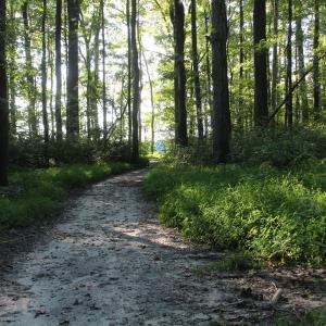 Photo of UNER CONTRACT!  5 Acres of Residential Hunting Land For Sale in Southampton County VA!