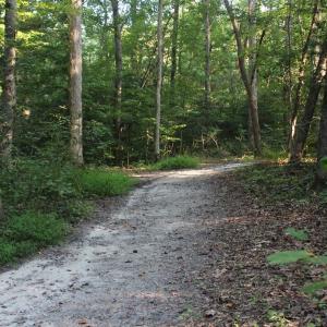 Photo of UNER CONTRACT!  5 Acres of Residential Hunting Land For Sale in Southampton County VA!