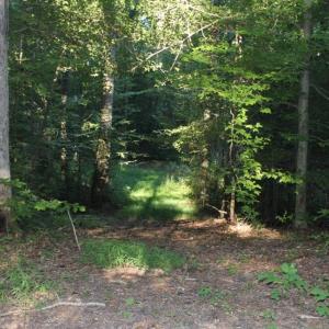 Photo of UNER CONTRACT!  5 Acres of Residential Hunting Land For Sale in Southampton County VA!