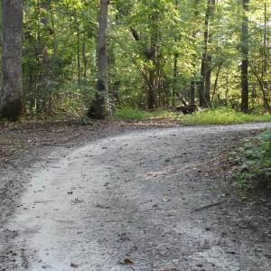Photo of UNER CONTRACT!  5 Acres of Residential Hunting Land For Sale in Southampton County VA!