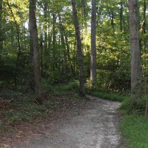 Photo of UNER CONTRACT!  5 Acres of Residential Hunting Land For Sale in Southampton County VA!