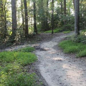 Photo of UNER CONTRACT!  5 Acres of Residential Hunting Land For Sale in Southampton County VA!
