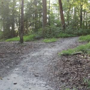 Photo of UNER CONTRACT!  5 Acres of Residential Hunting Land For Sale in Southampton County VA!