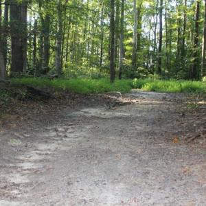 Photo of UNER CONTRACT!  5 Acres of Residential Hunting Land For Sale in Southampton County VA!