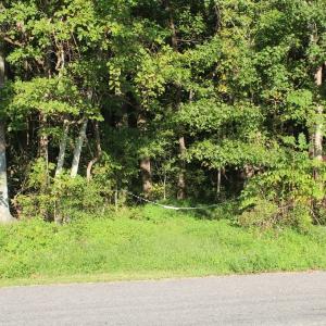 Photo of UNER CONTRACT!  5 Acres of Residential Hunting Land For Sale in Southampton County VA!