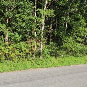 Photo of UNER CONTRACT!  5 Acres of Residential Hunting Land For Sale in Southampton County VA!