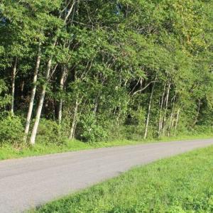Photo of UNER CONTRACT!  5 Acres of Residential Hunting Land For Sale in Southampton County VA!