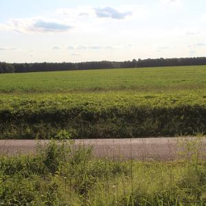 Photo of UNER CONTRACT!  5 Acres of Residential Hunting Land For Sale in Southampton County VA!