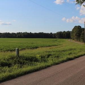 Photo of UNER CONTRACT!  5 Acres of Residential Hunting Land For Sale in Southampton County VA!