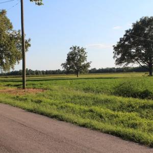 Photo of UNER CONTRACT!  5 Acres of Residential Hunting Land For Sale in Southampton County VA!