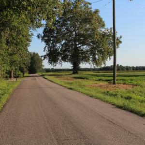 Photo of UNER CONTRACT!  5 Acres of Residential Hunting Land For Sale in Southampton County VA!