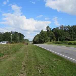 Photo of UNDER CONTRACT!  49.46 Acres of Hunting and Timber Land for Sale in Columbus County NC!