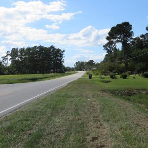 Photo of UNDER CONTRACT!  49.46 Acres of Hunting and Timber Land for Sale in Columbus County NC!