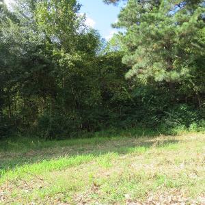 Photo of UNDER CONTRACT!  49.46 Acres of Hunting and Timber Land for Sale in Columbus County NC!
