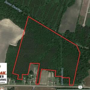 Photo of UNDER CONTRACT!  49.46 Acres of Hunting and Timber Land for Sale in Columbus County NC!