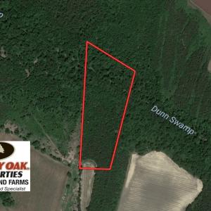 Photo of UNDER CONTRACT!  13.23 Acres of Hunting and Timber Land for Sale in Columbus County NC!