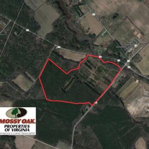 Photo of UNDER CONTRACT!  103 Acres of Hunting and Timber Land for Sale in Accomack County VA!