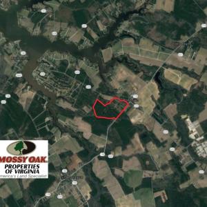 Photo of UNDER CONTRACT!  103 Acres of Hunting and Timber Land for Sale in Accomack County VA!