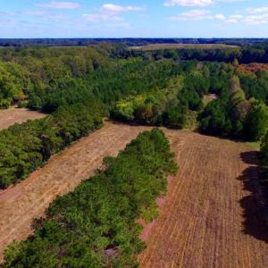 Photo of UNDER CONTRACT!  103 Acres of Hunting and Timber Land for Sale in Accomack County VA!