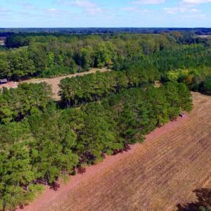 Photo of UNDER CONTRACT!  103 Acres of Hunting and Timber Land for Sale in Accomack County VA!