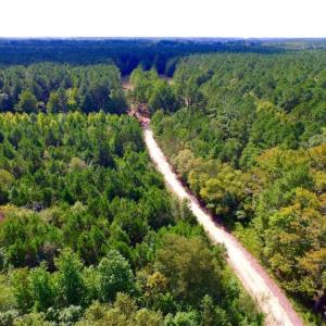 Photo of UNDER CONTRACT!  103 Acres of Hunting and Timber Land for Sale in Accomack County VA!