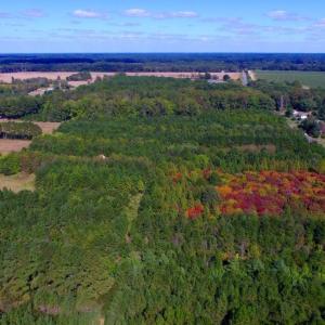 Photo of UNDER CONTRACT!  103 Acres of Hunting and Timber Land for Sale in Accomack County VA!