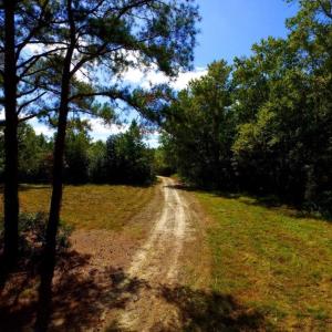 Photo of UNDER CONTRACT!  103 Acres of Hunting and Timber Land for Sale in Accomack County VA!