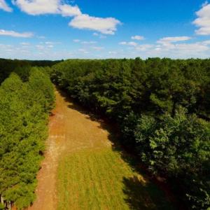 Photo of UNDER CONTRACT!  103 Acres of Hunting and Timber Land for Sale in Accomack County VA!