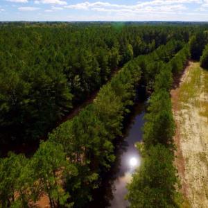 Photo of UNDER CONTRACT!  103 Acres of Hunting and Timber Land for Sale in Accomack County VA!