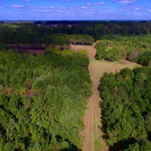 Photo of UNDER CONTRACT!  103 Acres of Hunting and Timber Land for Sale in Accomack County VA!