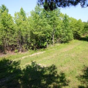 Photo of UNDER CONTRACT!  103 Acres of Hunting and Timber Land for Sale in Accomack County VA!