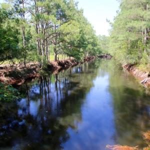 Photo of UNDER CONTRACT!  103 Acres of Hunting and Timber Land for Sale in Accomack County VA!