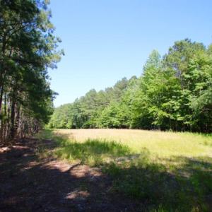 Photo of UNDER CONTRACT!  103 Acres of Hunting and Timber Land for Sale in Accomack County VA!