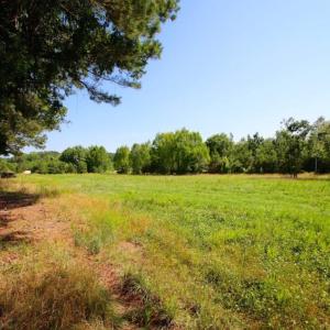 Photo of UNDER CONTRACT!  103 Acres of Hunting and Timber Land for Sale in Accomack County VA!