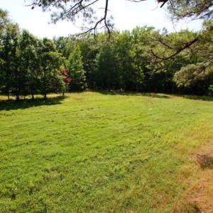 Photo of UNDER CONTRACT!  103 Acres of Hunting and Timber Land for Sale in Accomack County VA!