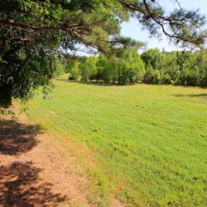 Photo of UNDER CONTRACT!  103 Acres of Hunting and Timber Land for Sale in Accomack County VA!